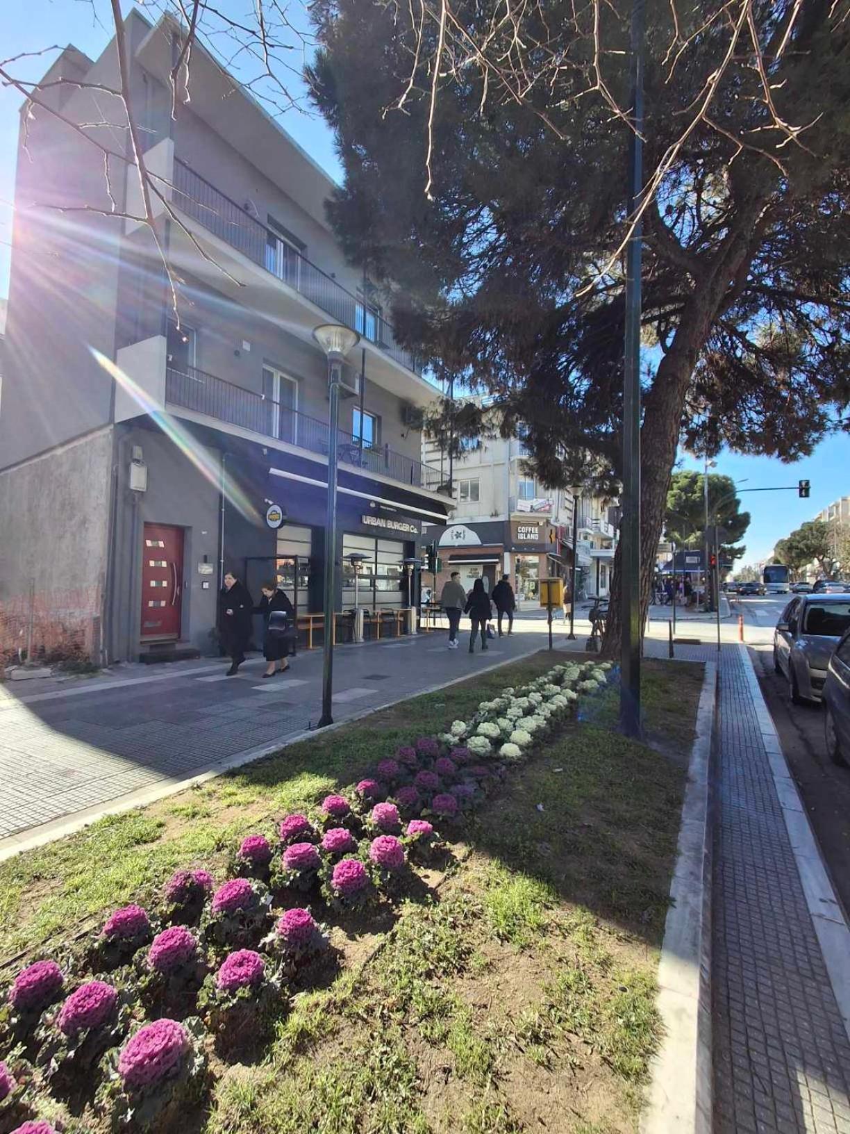 City Center Apartment 2 Alexandroupoli Bagian luar foto